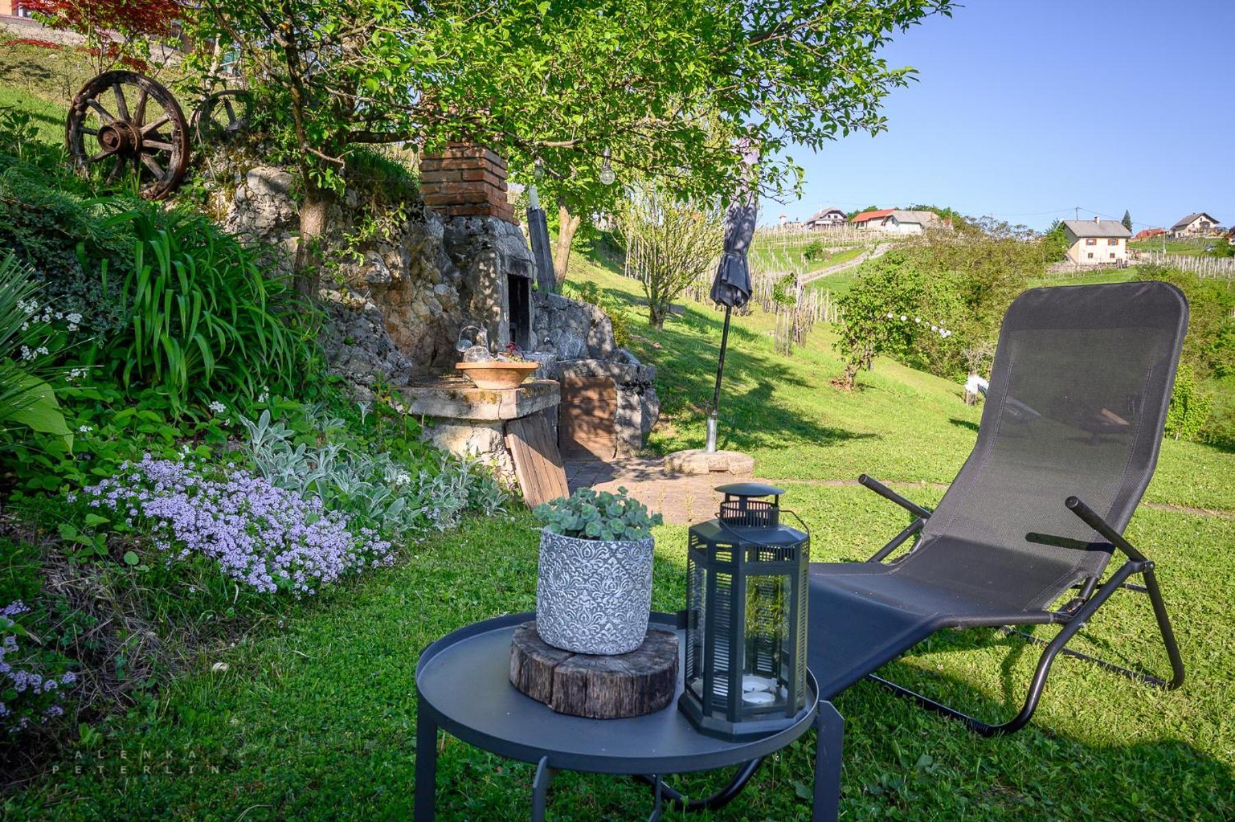 Vineyard Cottage Klemencic Novo Mesto Esterno foto