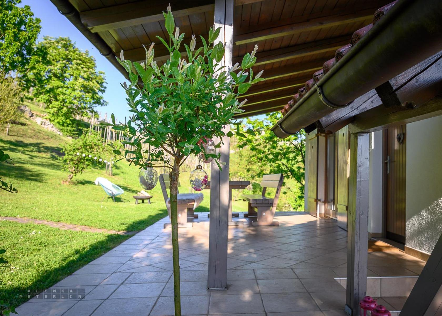 Vineyard Cottage Klemencic Novo Mesto Esterno foto